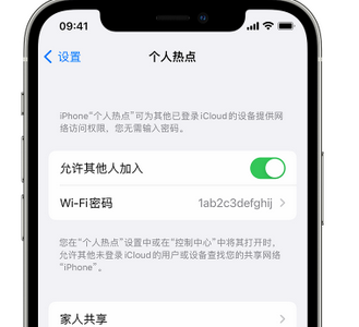 大同apple服务站点分享iPhone上个人热点丢失了怎么办 