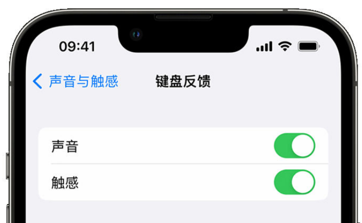 大同苹果手机维修分享iPhone 14触感键盘使用方法 