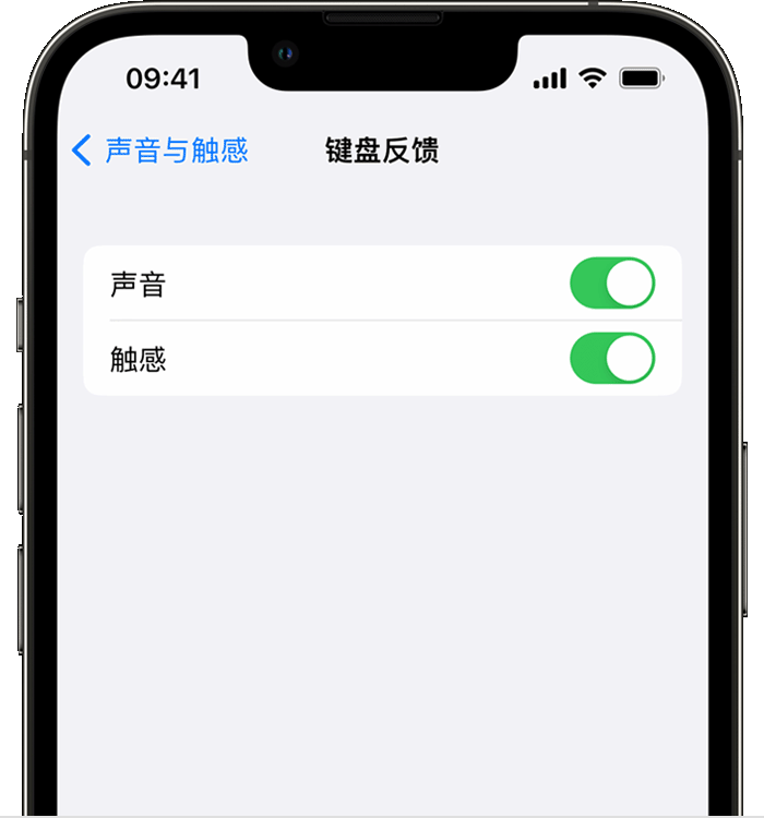 大同苹果14维修分享iPhone 14 系列机型如何开启键盘声音或触感反馈 
