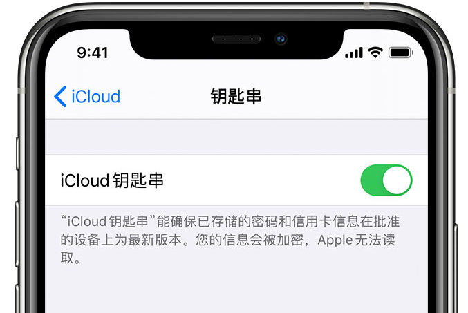 大同苹果手机维修分享在 iPhone 上开启 iCloud 钥匙串之后会储存哪些信息 