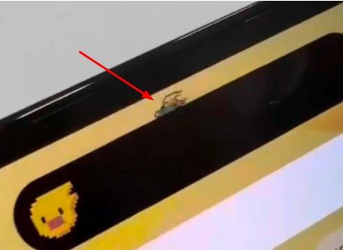 大同苹果14维修分享iPhone 14 Pro Max灵动岛怎么养宠物 