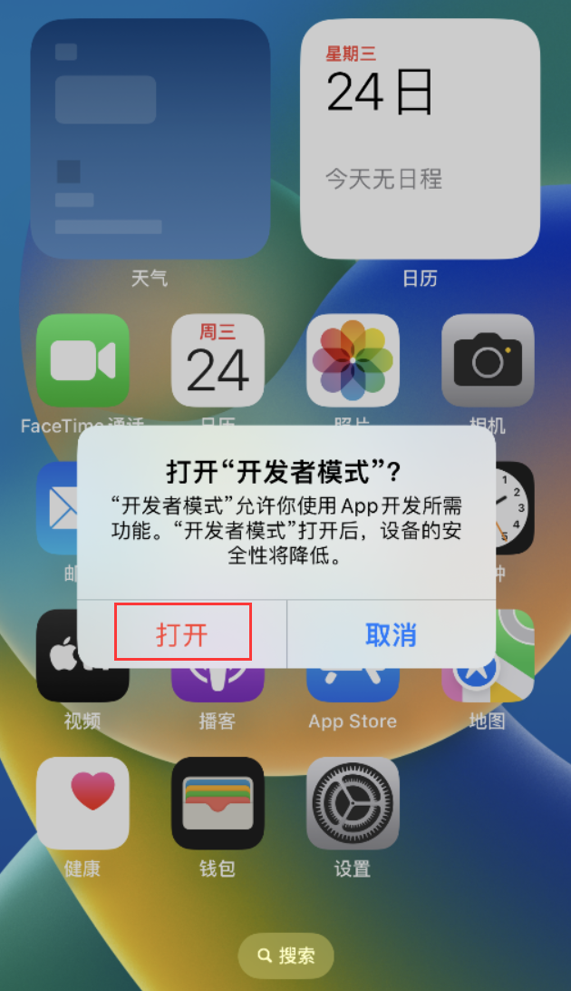大同苹果手机维修分享如何打开开发者模式 