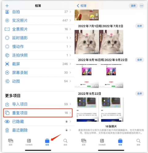 大同苹果手机维修分享iOS 16 中相册重复项目功能使用方法 