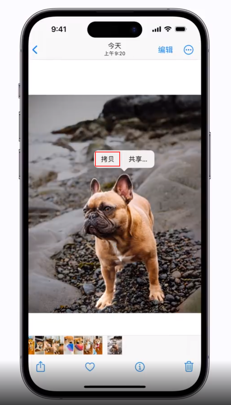 大同苹果手机维修分享 iOS 16 自带一键抠图功能 