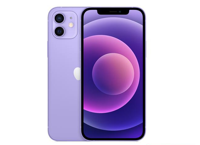 大同苹果手机维修分享现阶段要不要入手紫色版iPhone12 