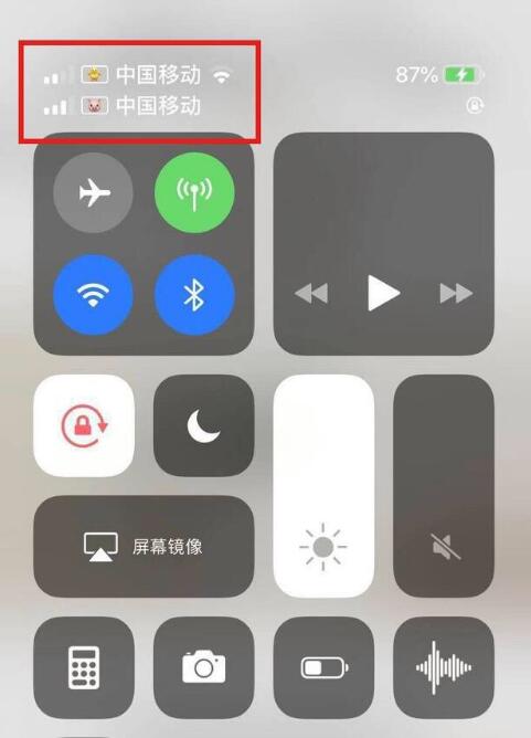 大同苹果手机维修分享为 iPhone 12 双卡设置标签 