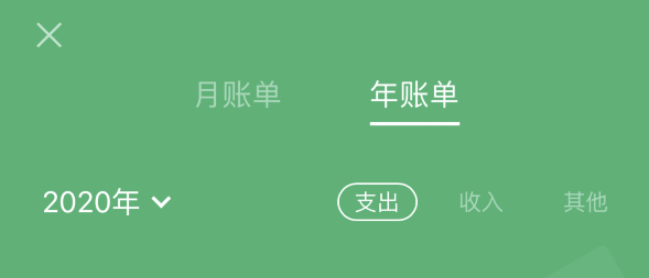 大同苹果手机维修分享如何在 iPhone 上查看支付宝和微信年支出账单 